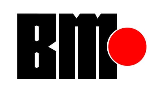BM Holding